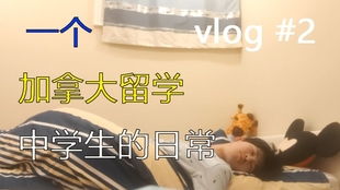 加拿大的小学,中学和高等教育是怎样的